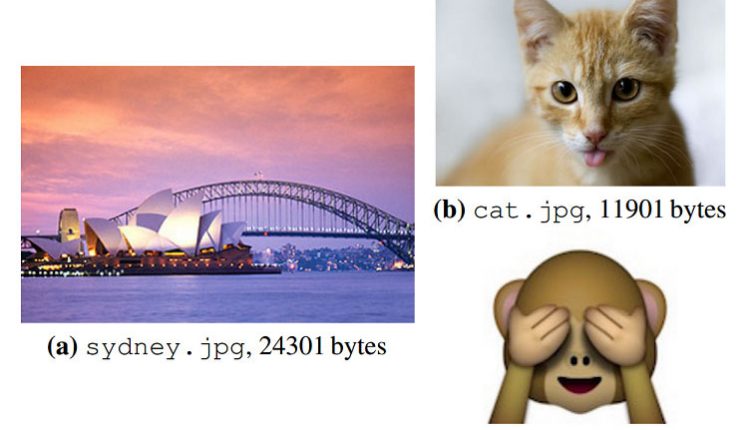 Šios nuotraukos buvo įrašytos į DNR