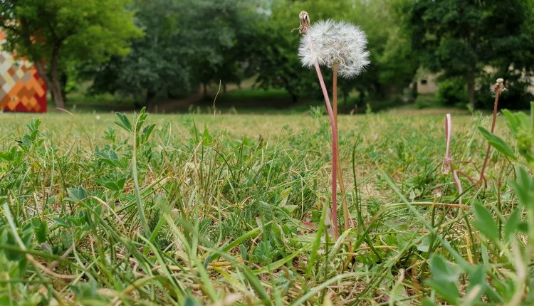 „Samsung Galaxy S9+“