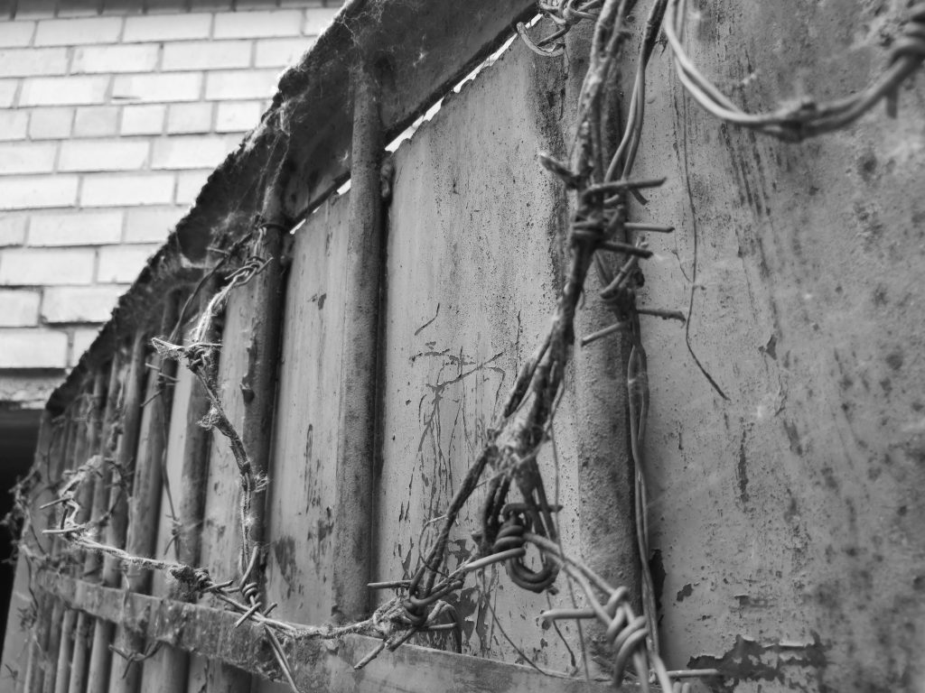 Monochrominė fotografija